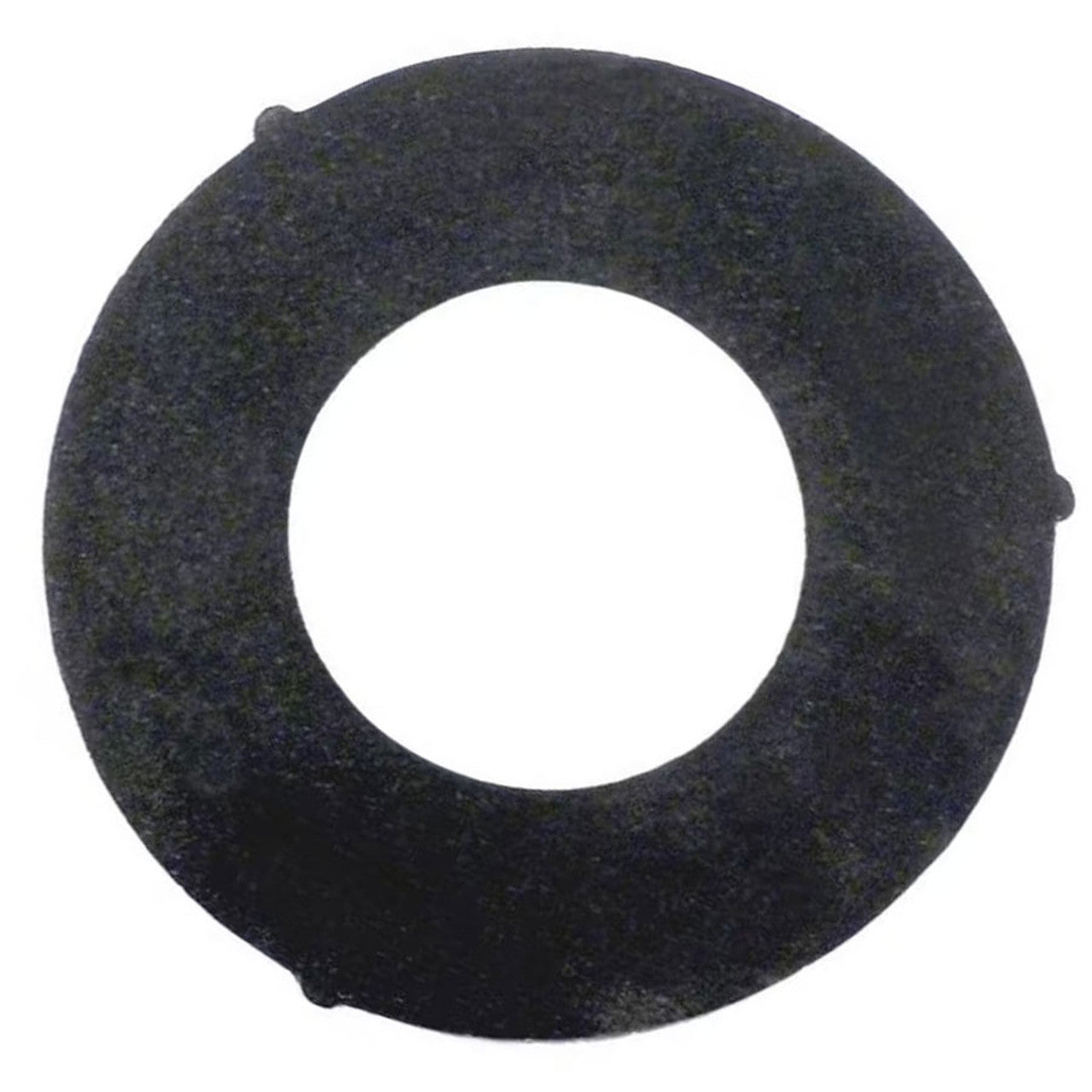 Pentair Drain Plug Gasket