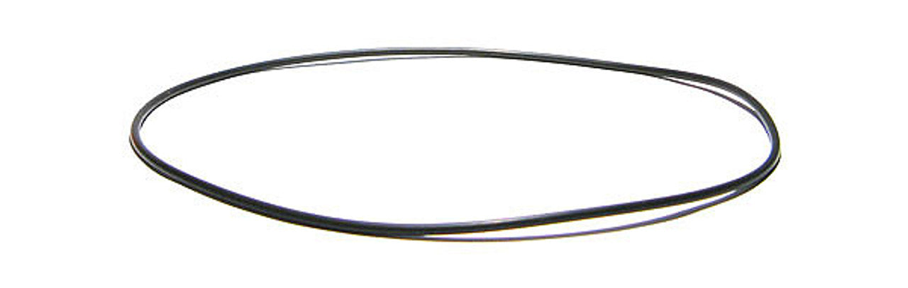 Rainbow filter lid o-ring #5