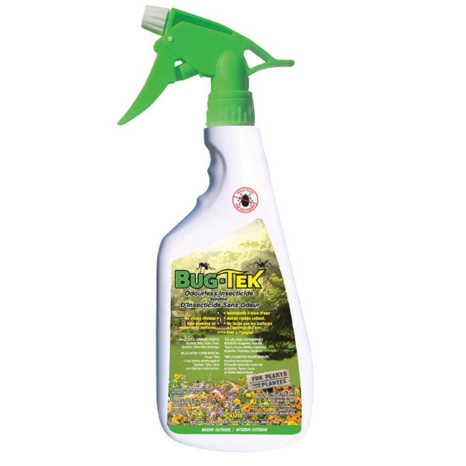 Bug-Tek Odourless Insecticide spray bottle for effective pest control indoors and outdoors.