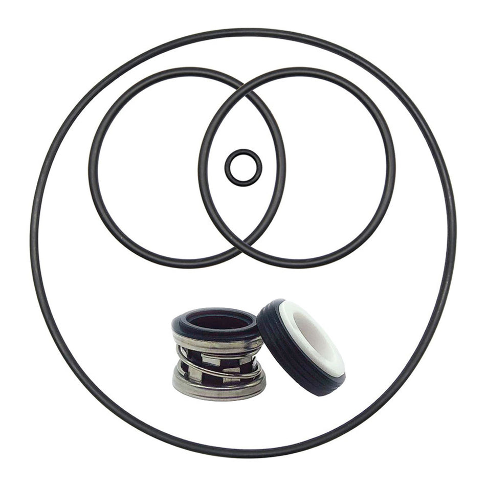 Aqua Flo Pump seal and o-ring kit