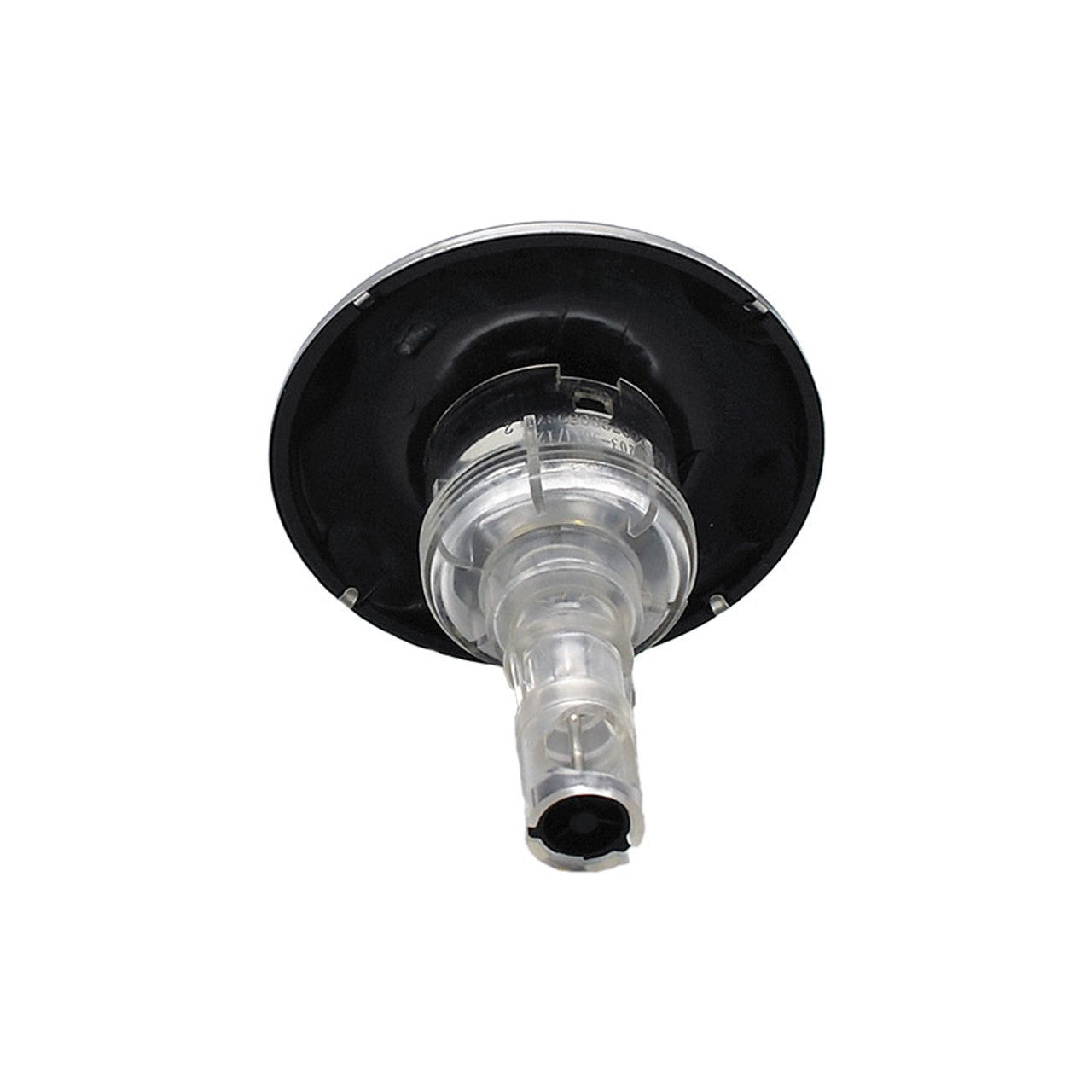 3-3/8" Rising Dragon Jet, Directional - SS