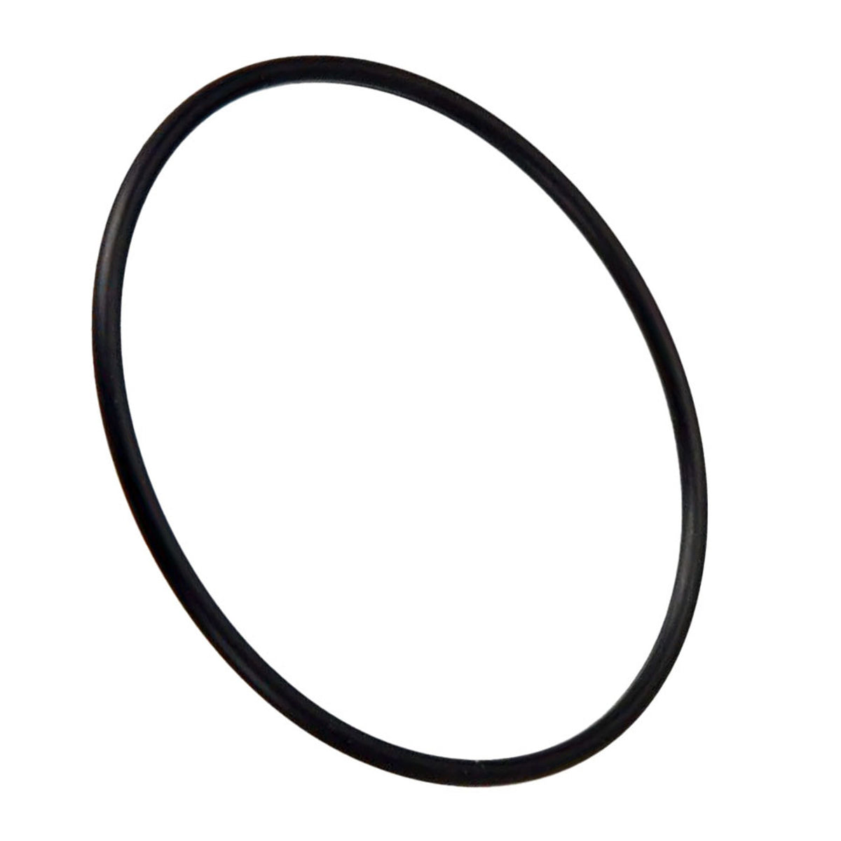 Hayward Salt & Swim Cell O-Ring - GLXDIYORING