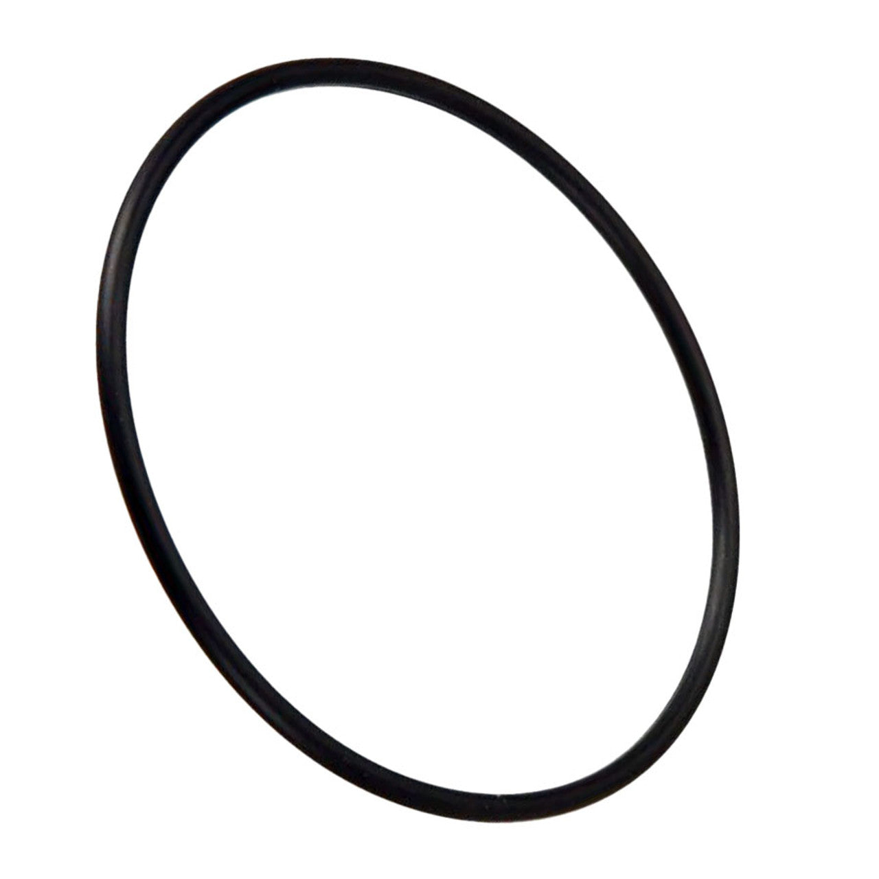 Hayward Salt & Swim Cell O-Ring - GLXDIYORING