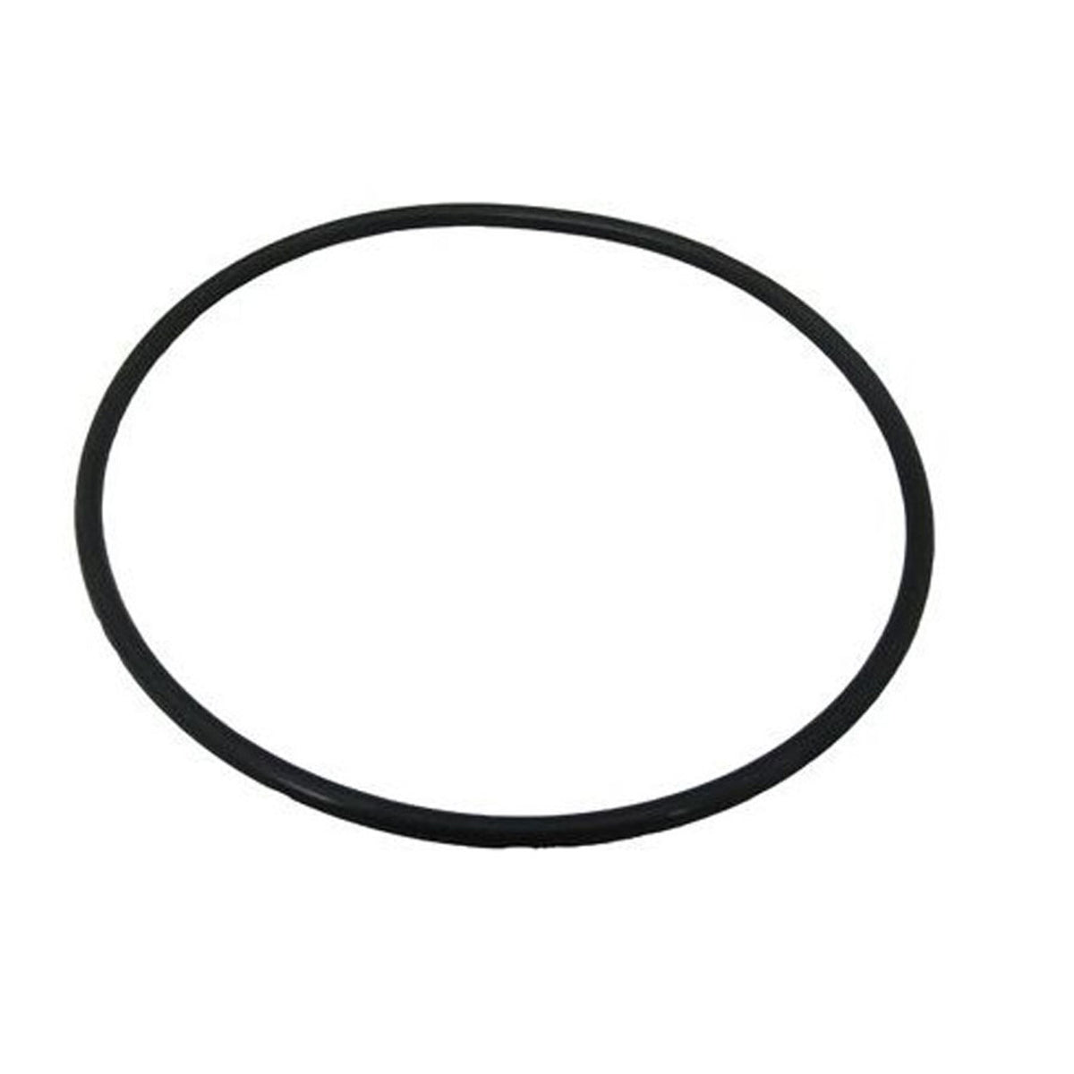O-Ring For Hayward Sand Valve/Tank GMX600F