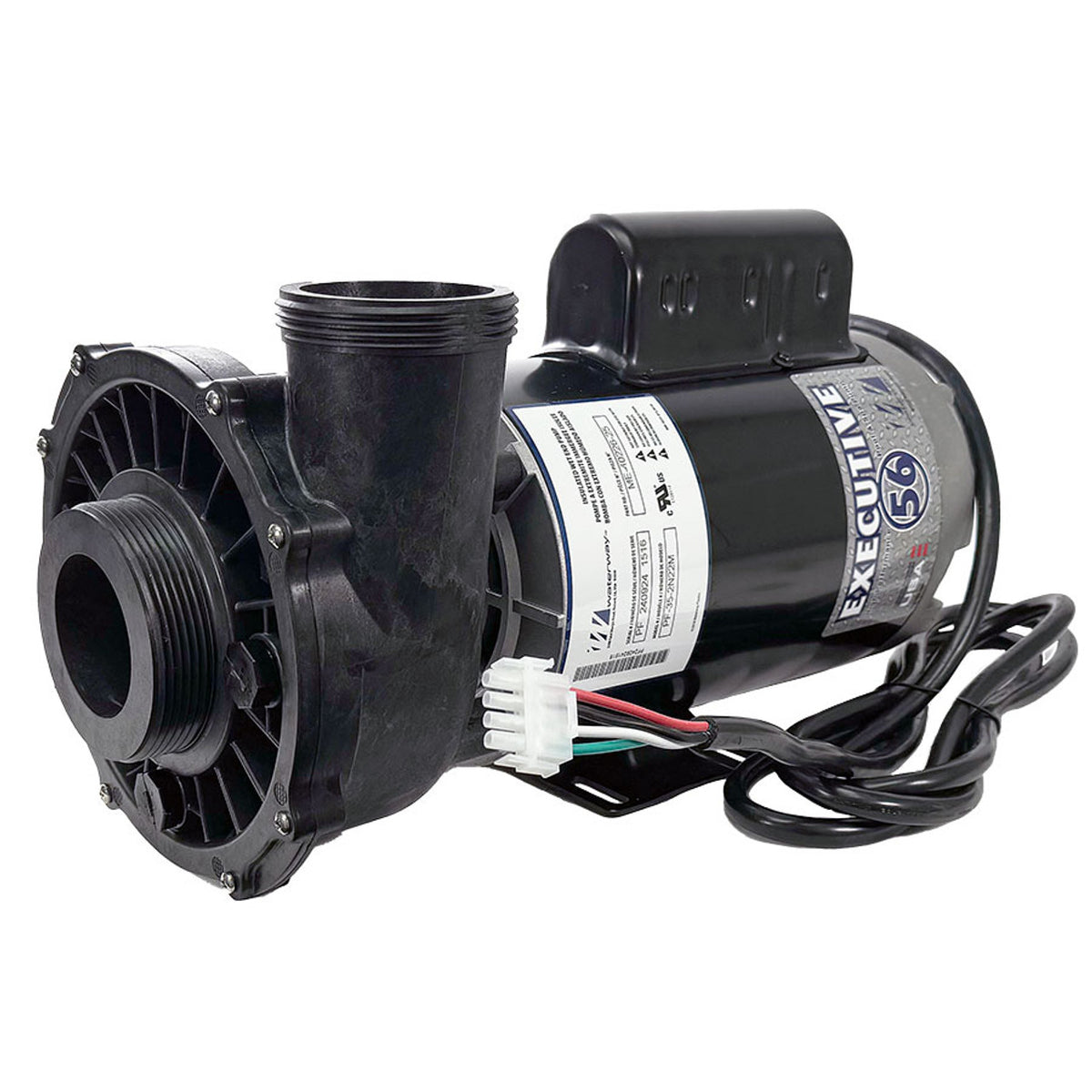 4 HP Waterway Executive 56 Pump, 2.5/2.0