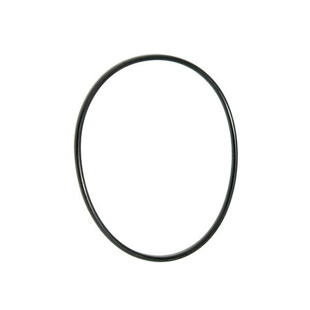 Volute O-Ring for Ultima Wet End (PPUFVO/R)