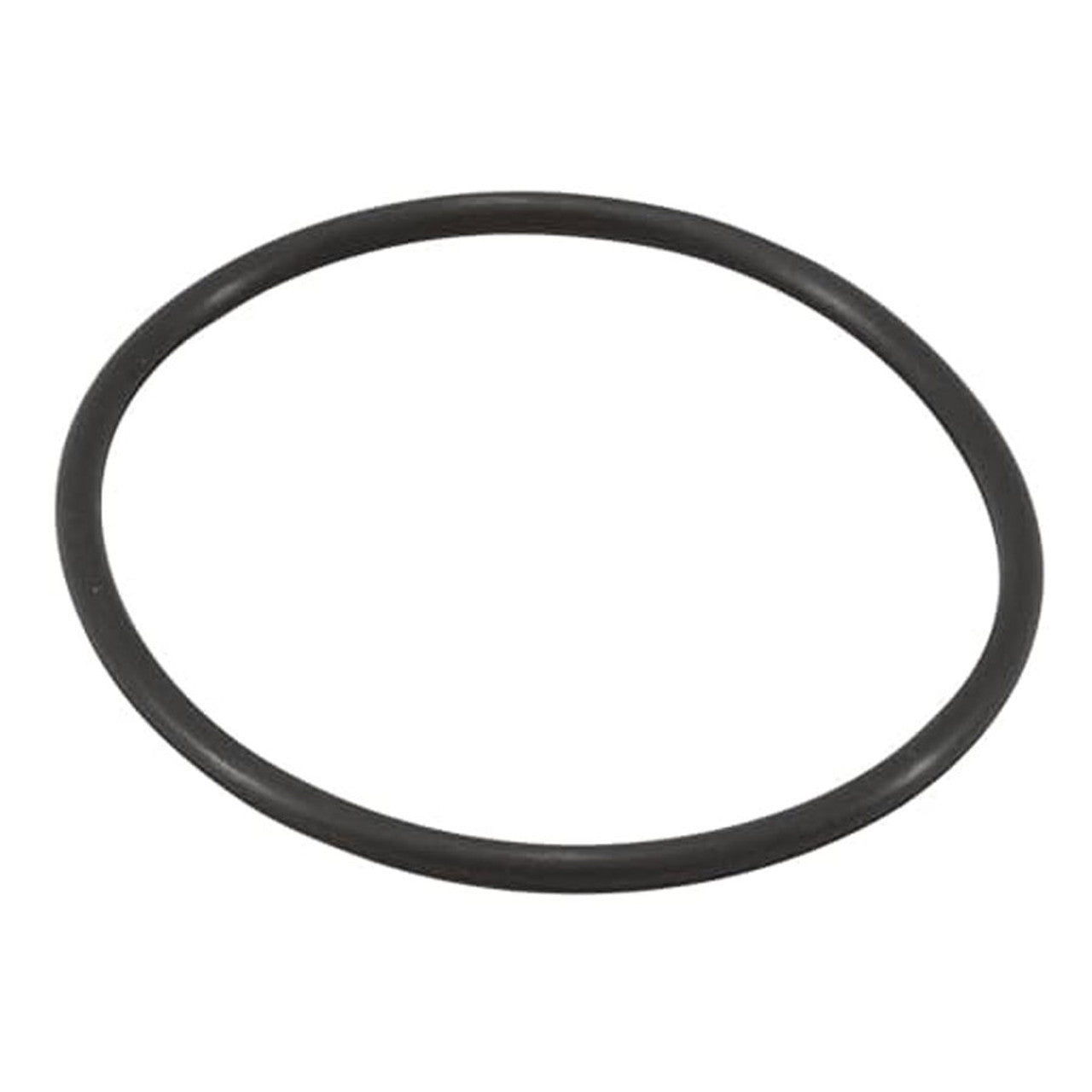 Jandy Filter Tank O-Ring - R0357800