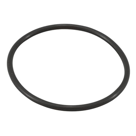 Jandy Filter Tank O-Ring - R0357800