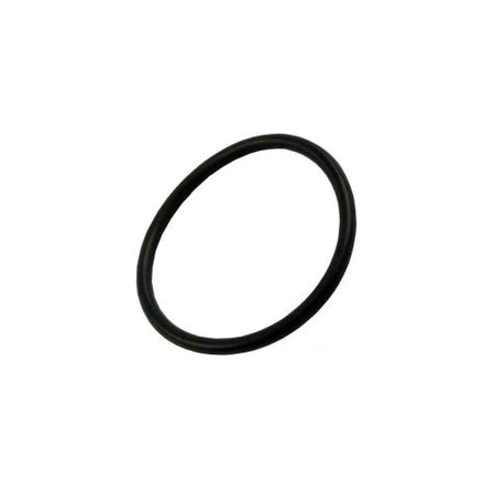 Waterway Executive Drain Plug O-Ring