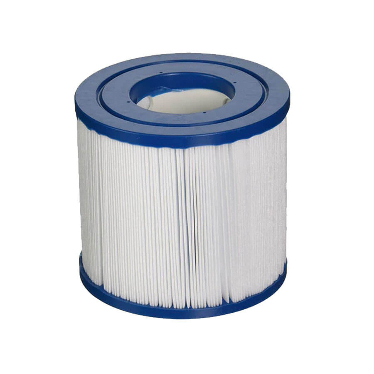 Waterway Skim Filter #817-0010, Coast Spa thumbnail 2