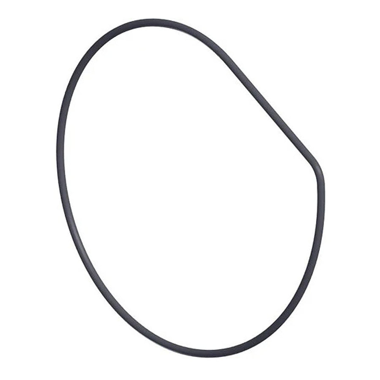 Hayward UltraPro Housing O-Ring - SPX1580Z1