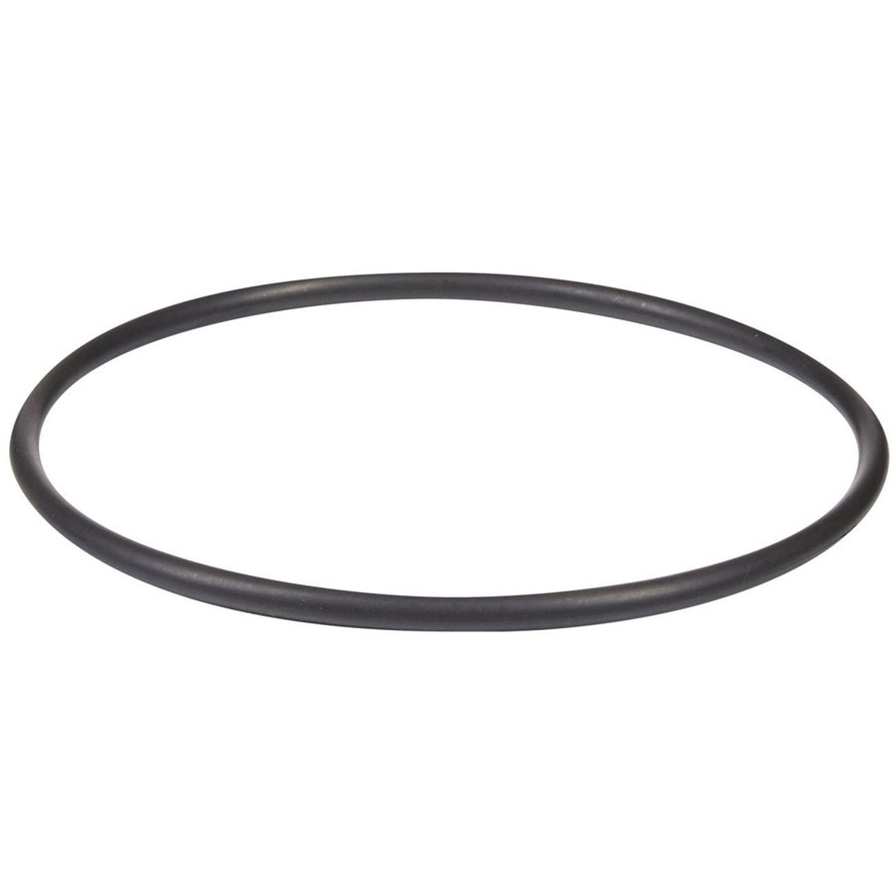 Hayward Strainer Cover O-Ring